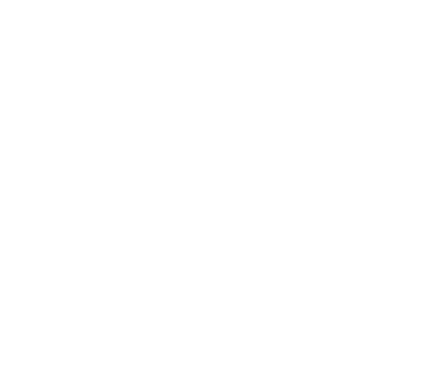PSMV